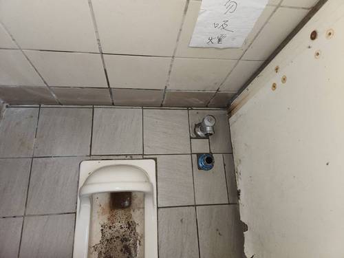大安區抓漏 換踩水器貼磁磚修復