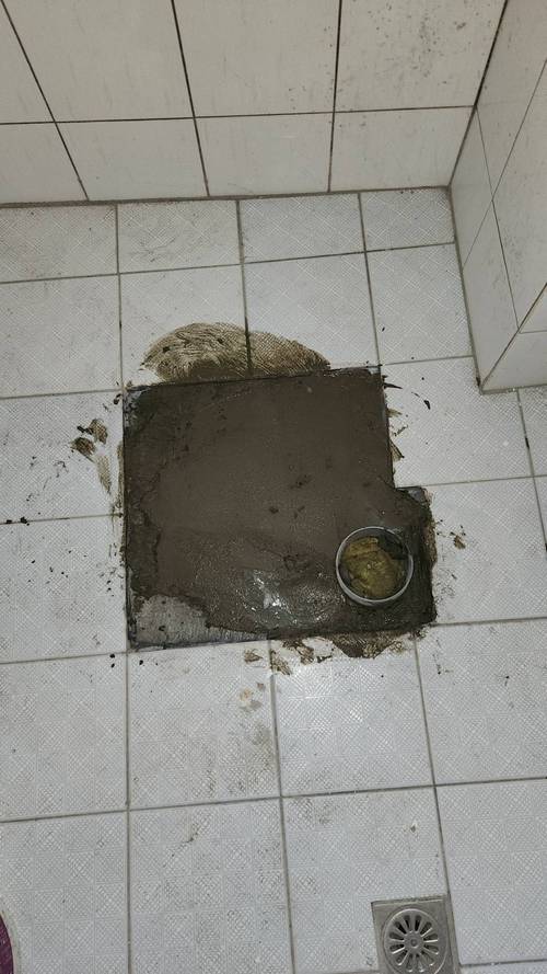 �O����|�˰���