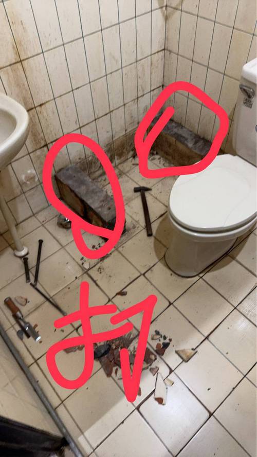 �_���צ~������