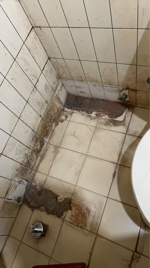 �_���צ~������