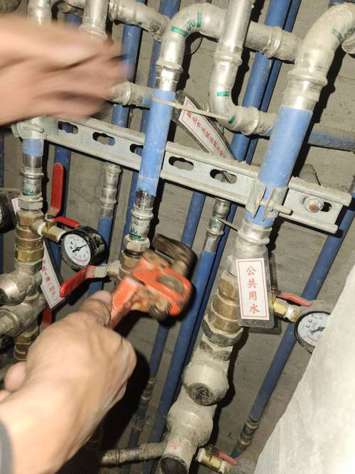 ���Ѵ�������