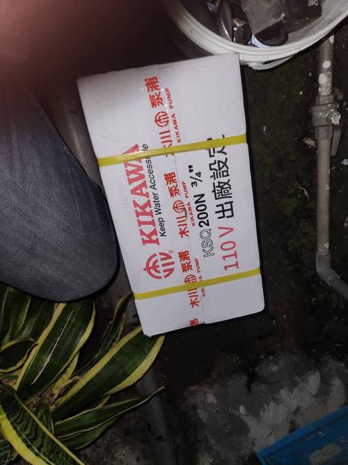 ��L���[�����F