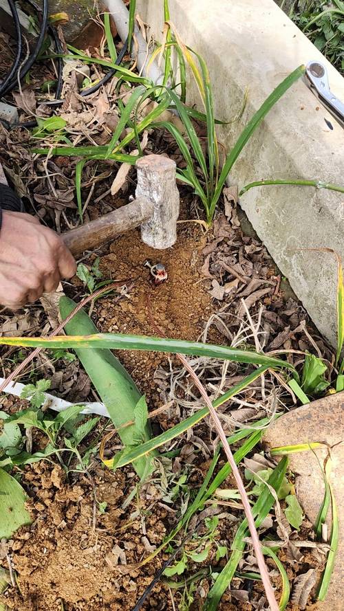 景美羅斯福路五段做避雷針