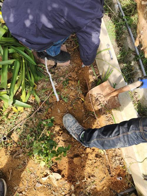 景美羅斯福路五段做避雷針