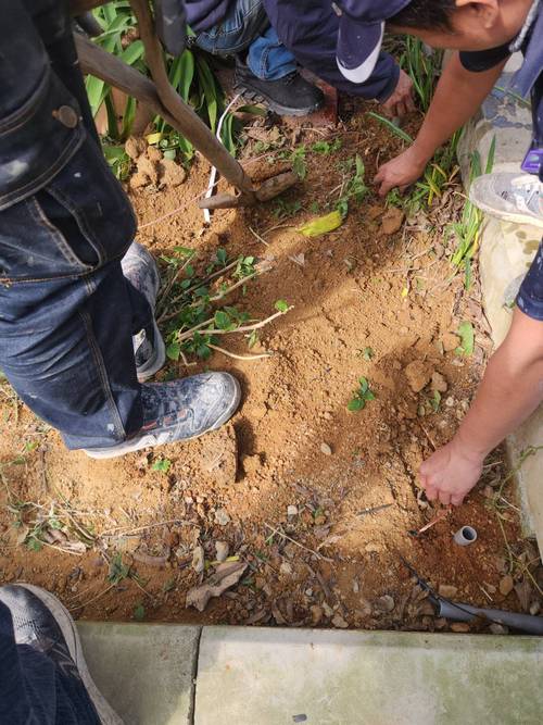 景美羅斯福路五段做避雷針