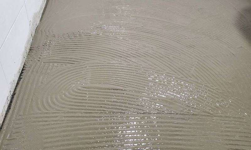 �x�_�ïD����