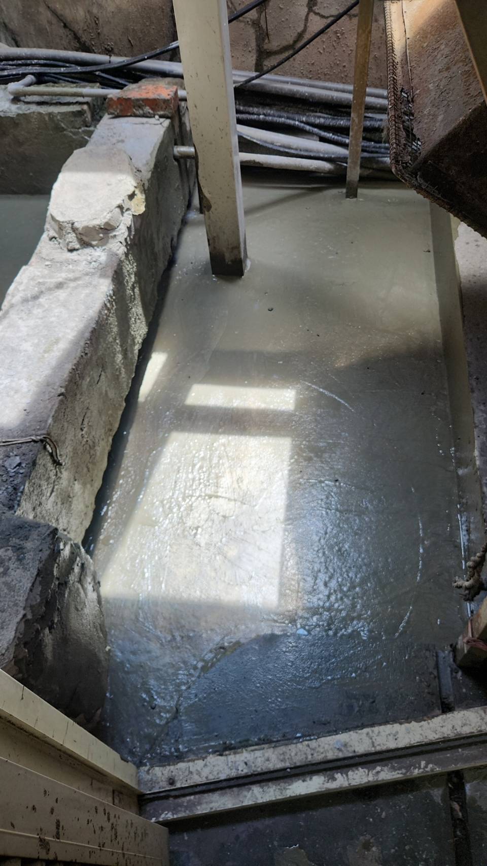 �x�_���s�ϳ��Ӧa�W����