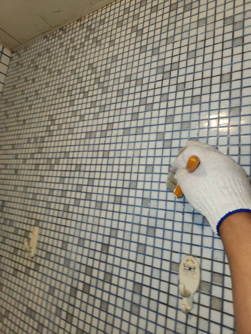 ¥x¥_¸UµØ°µ´Z©Ò¨¾¤ô